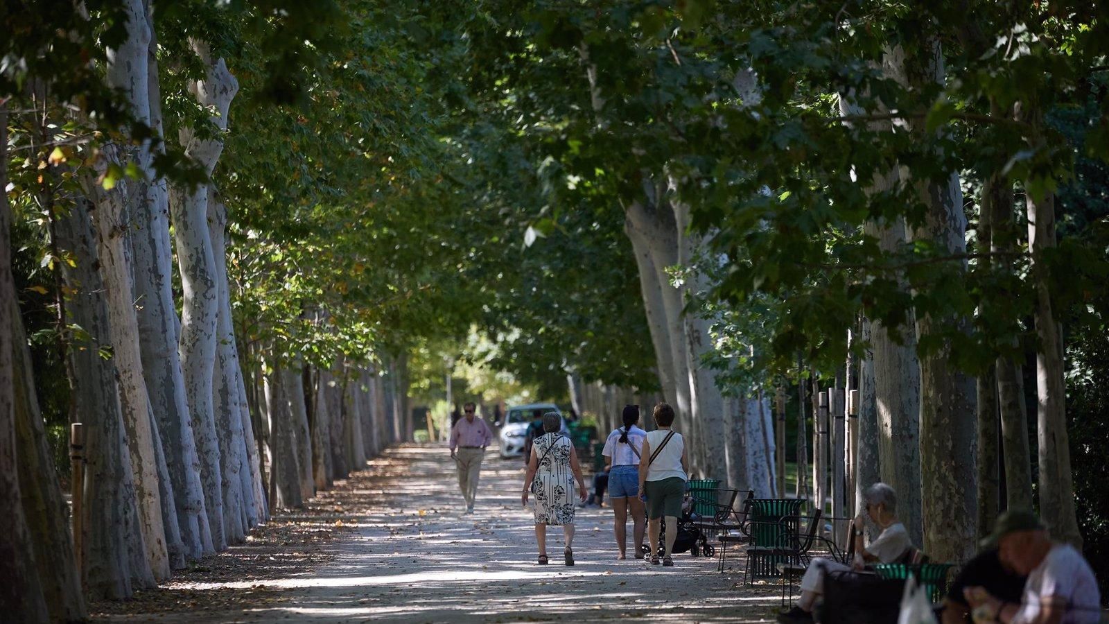La capital aprueba los planes directores de los parques del Retiro, Juan Pablo II y Fuente del Berro
