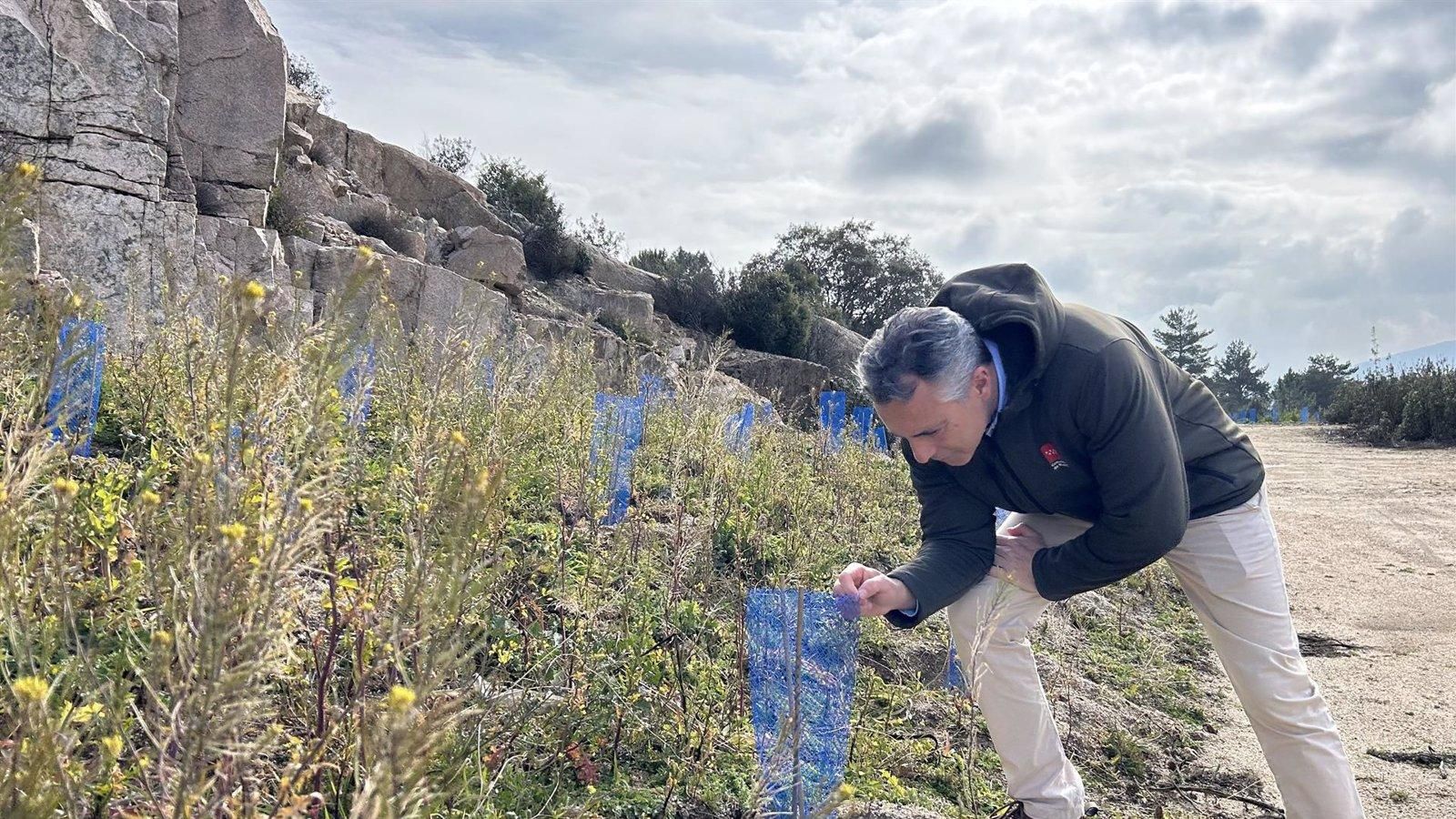 La Comunidad invierte 1,3 millones en la restauración de cuatro espacios naturales afectados por canteras de materiales