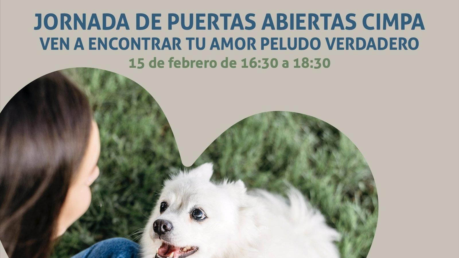 El Servicio de Protección Animal de Alcalá de Henares celebra San Valentín con historias de adopción de mascotas