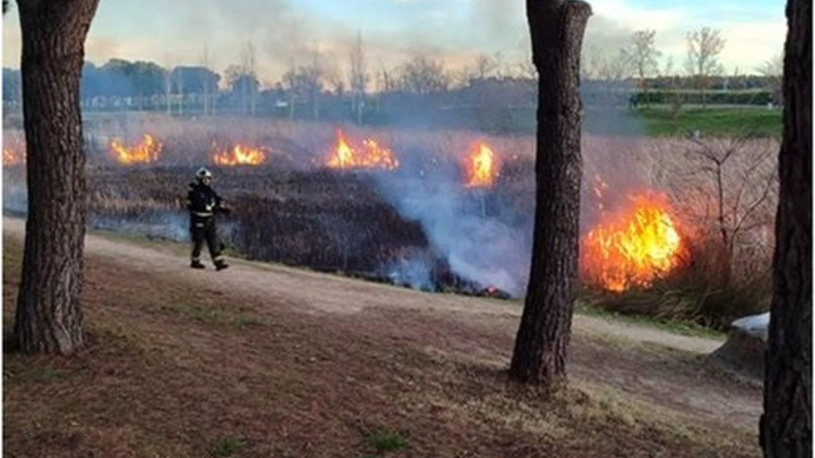 Un incendio en el Parque Lineal de Butarque de Leganés se salda sin heridos