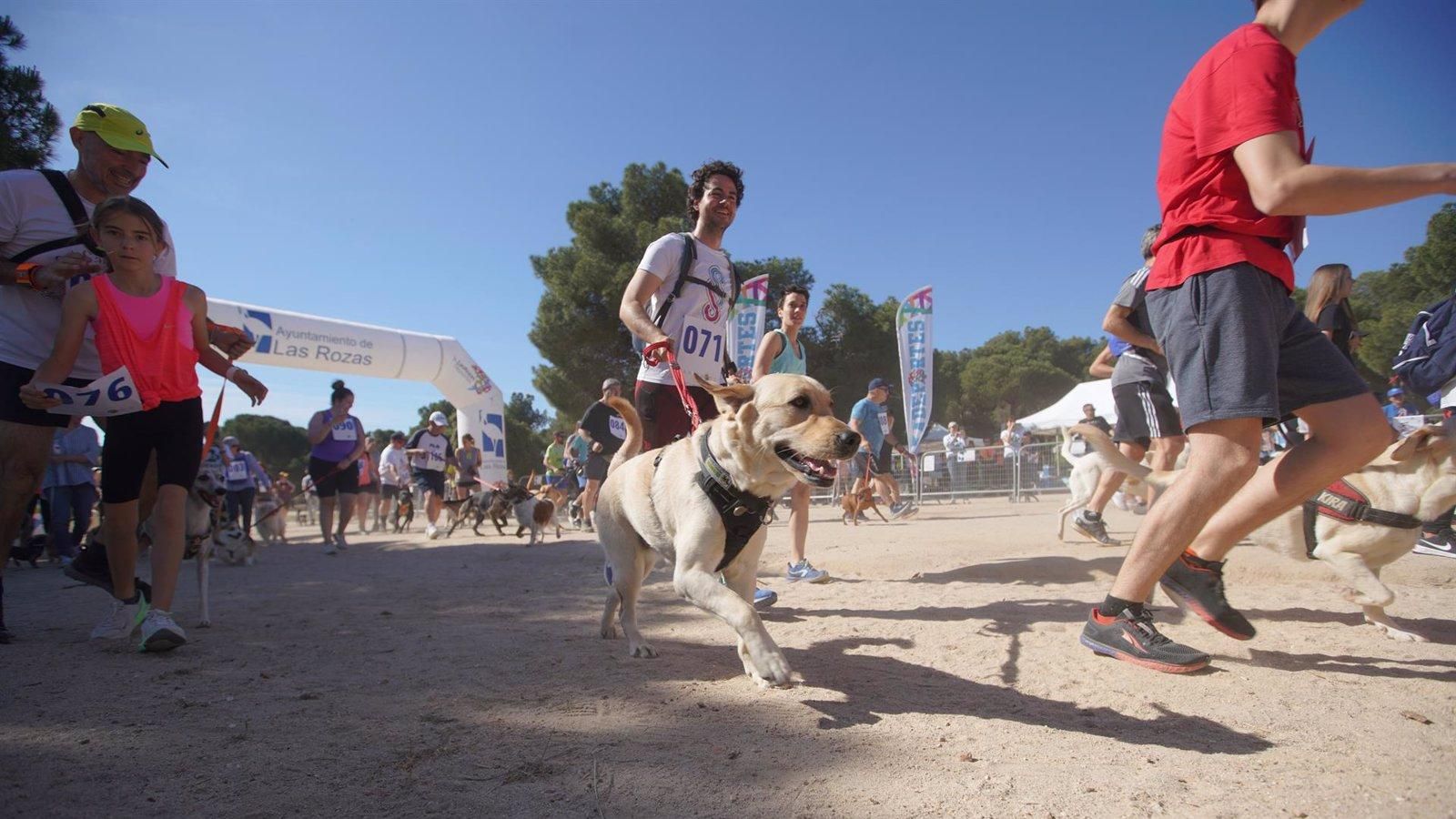 Las Rozas celebra la segunda edición de CaniCross el 6 de abril