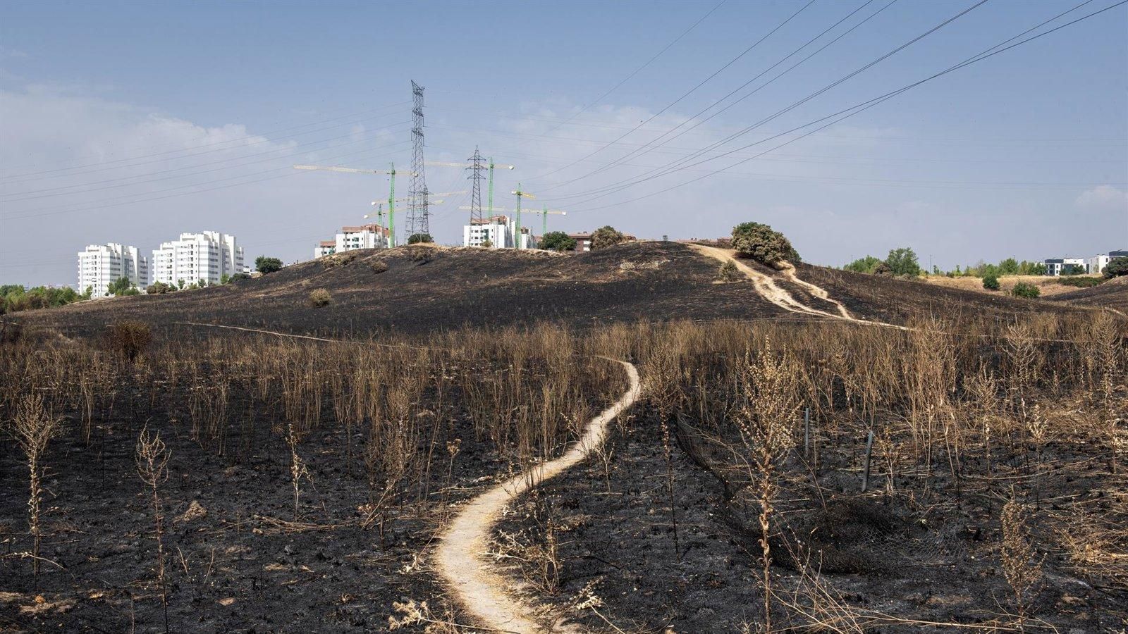 Seis municipios de la región obtienen la declaración oficial como zonas catastróficas tras los incendios