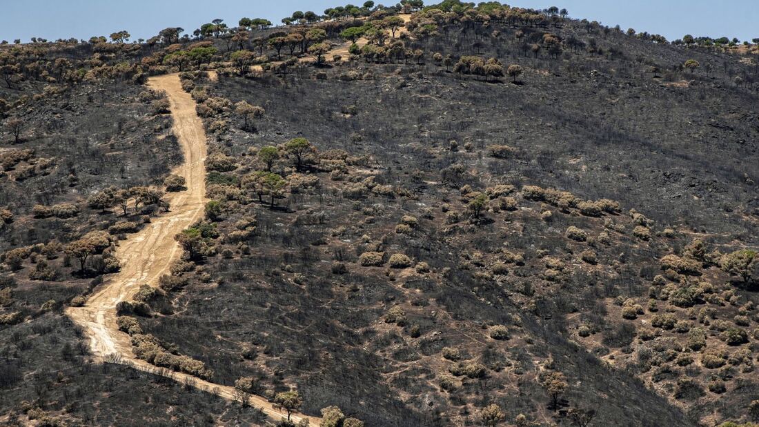 La marcha Mussara pedaleará por la reforestación de la Sierra Oeste