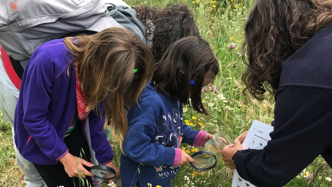 La Comunidad organiza 200 actividades gratuitas este otoño
