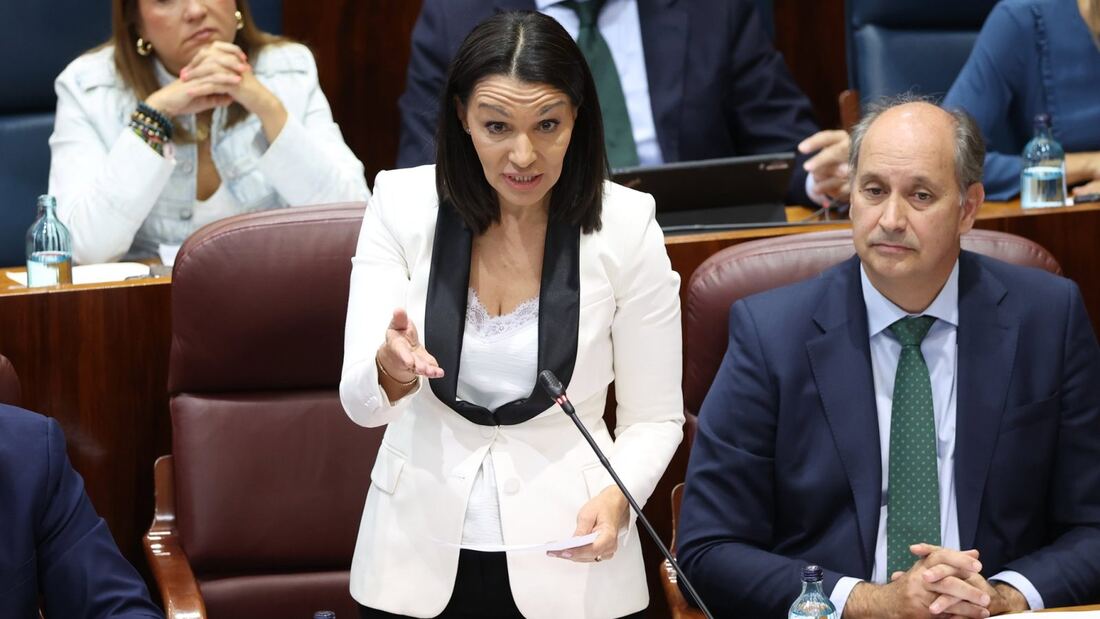 Zarzalejo asegura que no hay