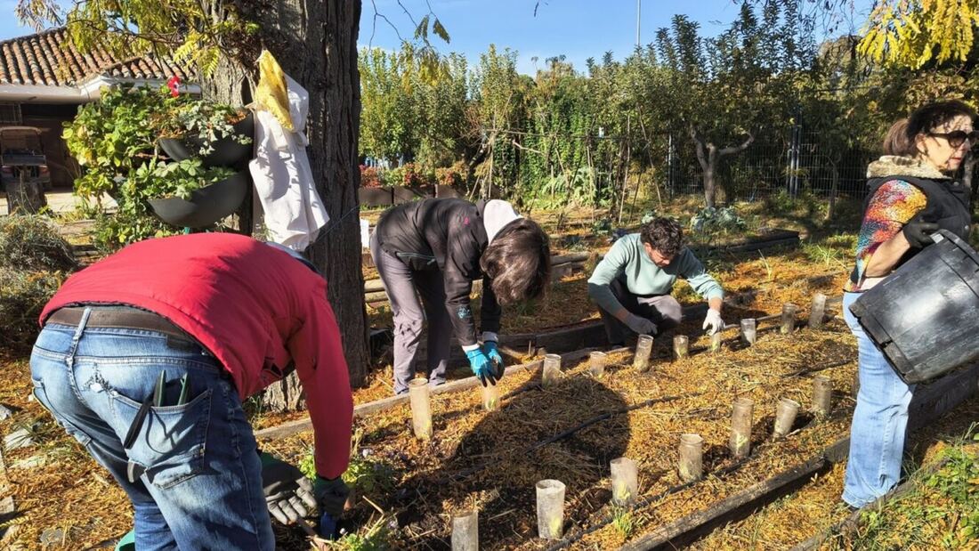 Madrid ofrece más de 400 actividades ambientales este otoño