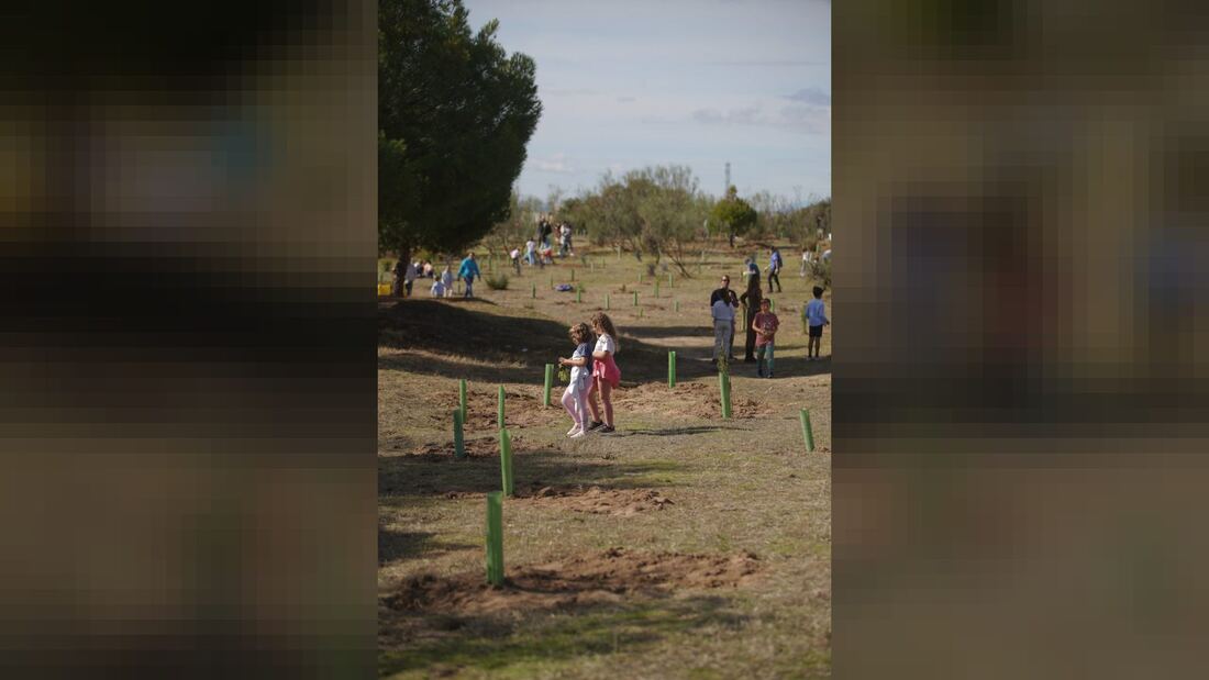 El Ayuntamiento de Las Rozas organiza la Gran Plantación Familiar el 24 de octubre
